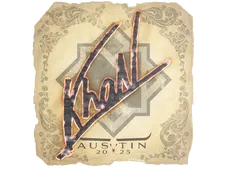 Skin's image