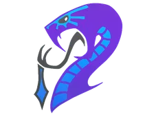Skin's image