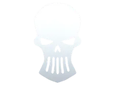 Skin's image
