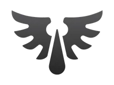 Skin's image