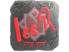 Skin's image