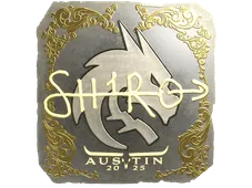 Skin's image