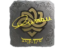 Skin's image