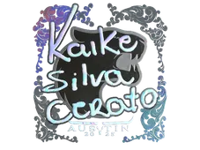 Skin's image