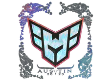 Skin's image