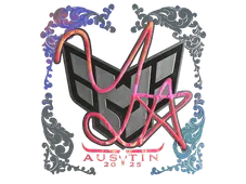 Skin's image