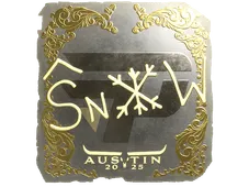 Skin's image