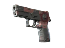Skin's image