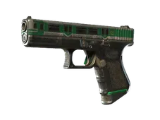 Skin's image