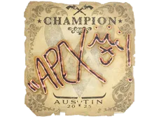 Skin's image