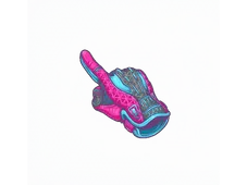 Skin's image