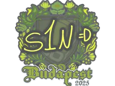 Skin's image
