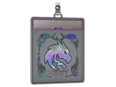 Skin's image