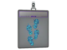 Sticker Slab | CT Tracks (Glitter)