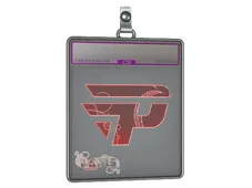 Sticker Slab | paiN Gaming (Holo) | Paris 2023
