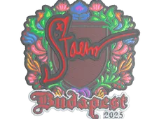 Skin's image