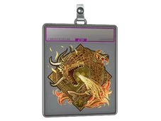 Skin's image