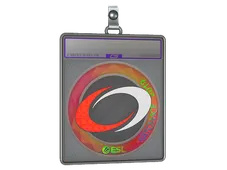 Sticker Slab | compLexity Gaming (Holo) | Katowice 2019