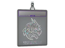 Skin's image