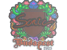 Skin's image