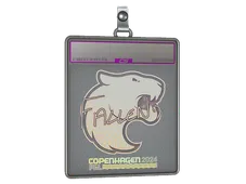 Sticker Slab | FalleN (Holo) | Copenhagen 2024