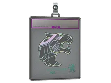 Sticker Slab | FURIA (Holo) | Antwerp 2022