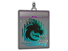 Sticker Slab | Spirit (Foil) | 2020 RMR