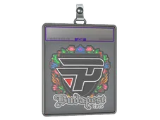Sticker Slab | paiN Gaming (Embroidered) | Budapest 2025