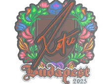Skin's image