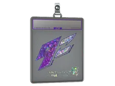 Skin's image