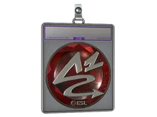 Skin's image