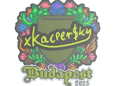 Skin's image