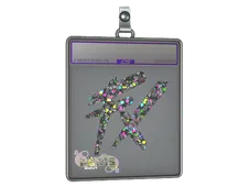 Skin's image