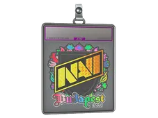Sticker Slab | Natus Vincere (Holo) | Budapest 2025