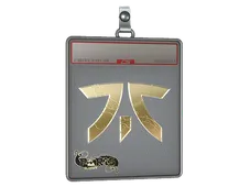 Sticker Slab | Fnatic (Gold) | Paris 2023