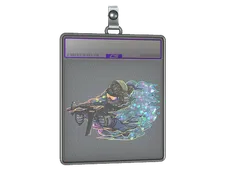 Skin's image