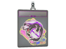 Sticker Slab | Outsiders (Holo) | Rio 2022