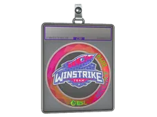 Sticker Slab | Winstrike Team (Holo) | Katowice 2019