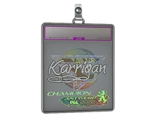 Sticker Slab | karrigan (Holo, Champion) | Antwerp 2022