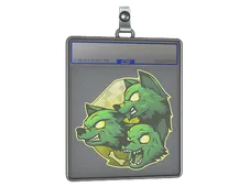 Skin's image