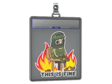Sticker Slab | This Is Fine (CT)