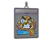 Skin's image