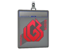 Sticker Slab | LGB eSports | Katowice 2015