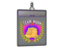 Sticker Slab | Teamwork (Holo)