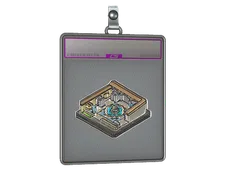 Skin's image