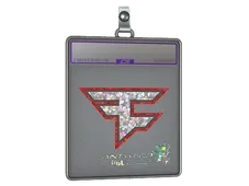 Skin's image