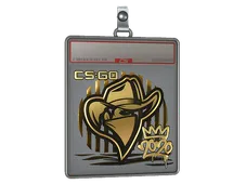Sticker Slab | Renegades (Gold) | 2020 RMR