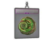 Skin's image