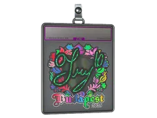 Sticker Slab | TRY (Holo) | Budapest 2025