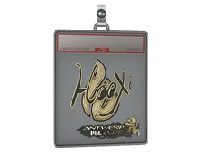 Sticker Slab | HooXi (Gold) | Antwerp 2022